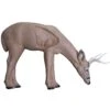 Rinehart Broadhead Buck Archery Target